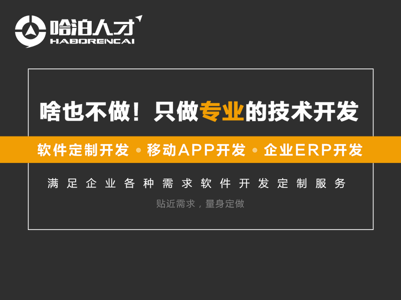 软件开采好找管事吗 将来软件开采前景若何样！半岛官方体育(图1)