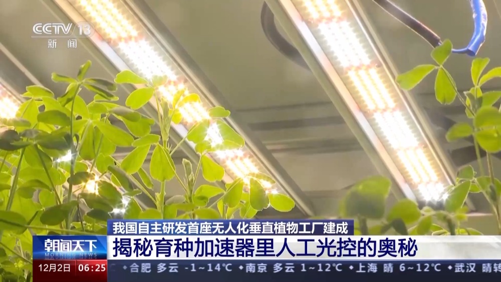 20层“高楼”里种菜 我邦自决研发首座无人化笔直植物工场修成半岛官方体育(图4)